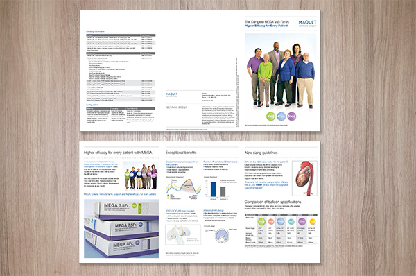 Tri-fold brochure